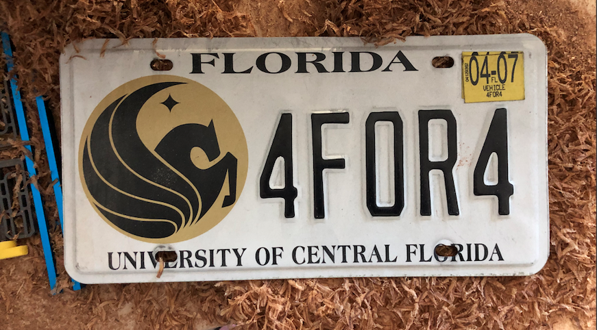CENTRIC: licenseplate UCF fan carves into his free time, dedicates life to ‘making someone’s day’